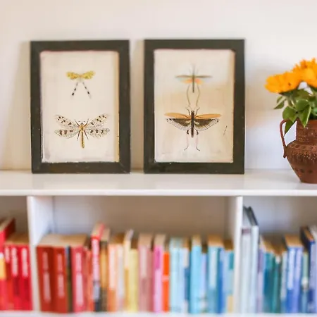 Hotel Lundsgaard Gods